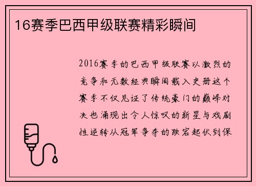 16赛季巴西甲级联赛精彩瞬间