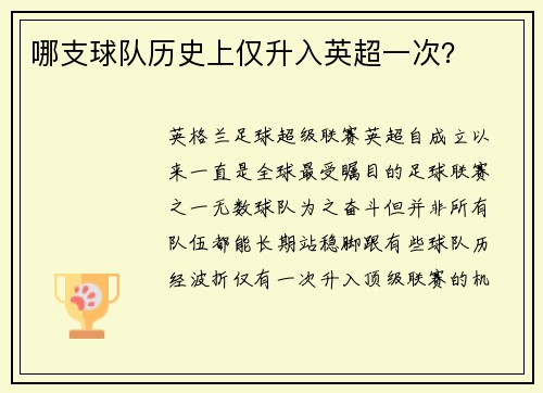 哪支球队历史上仅升入英超一次？